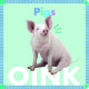 Pigs Oink