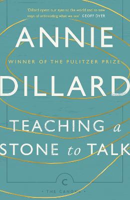 Teaching a Stone to Talk: Expeditions and Encounters