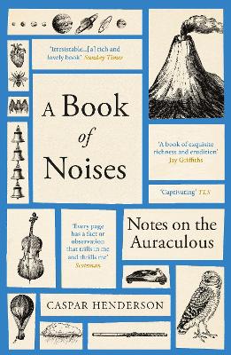 A Book of Noises: Notes on the Auraculous