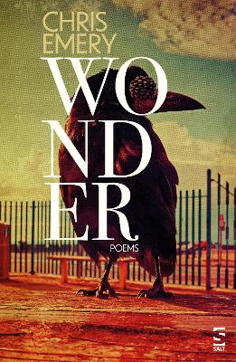 Wonder