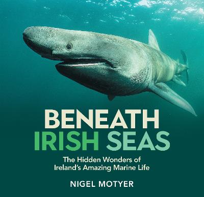 Beneath Irish Seas: The Hidden Wonders o