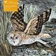 Adult Sustainable Jigsaw Puzzle Angela Harding: Marsh Owl: 1000-pieces. Ethical, Sustainable, Earth-friendly