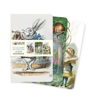 Alice in Wonderland Set of 3 Mini Notebo