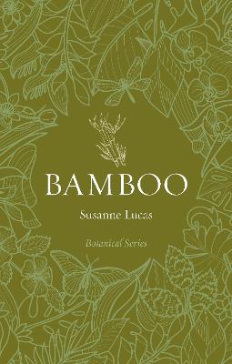 Bamboo