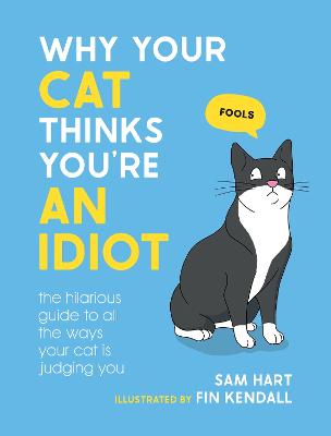 Why Your Cat Thinks Youre An Idiot