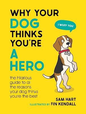 Why Your Dog Thinks Youre A Hero