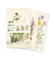 Royal Botanic Garden Edinburgh Set of 3