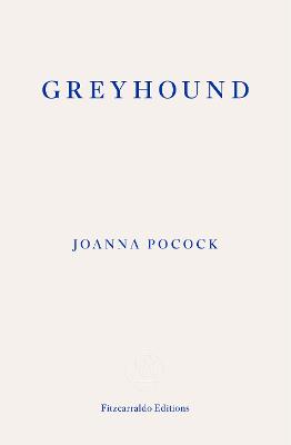 Greyhound