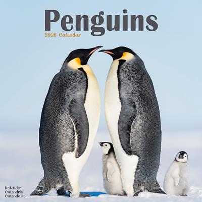 Penguins Calendar 2026  Square Animal Wall Calendar - 16 Month