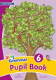 Grammar 6