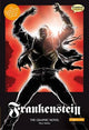 Frankenstein The Graphic Novel: Original Text