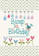 Bump to Birthday, Pregnancy & First Year Journal