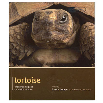 Tortoise - Pet Expert: Understanding and Caring for Your Pet