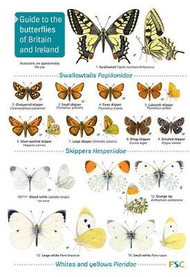 Guide to the butterflies of Britain and Ireland: 2019