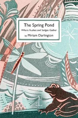 The Spring Pond: Where Rushes and Sedges Gather