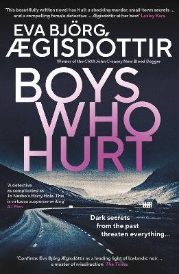 Boys Who Hurt: The chilling, intriguing, MASTERFUL new Forbidden Iceland mystery: Volume 5
