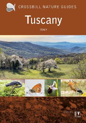 Tuscany: Italy