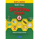 BUSY AT MATHS 6 - SHADOW BOOK
