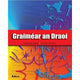 GRAIMEAR AN DRAOI (IRISH GRAMMAR BOOK)