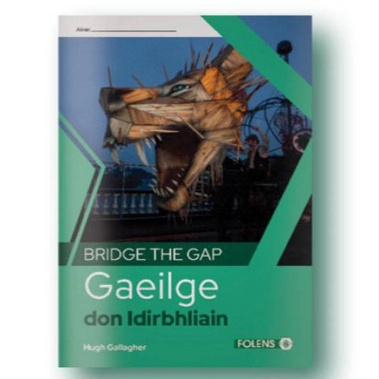 BRIDGE THE GAP - GAEILGE DON IDIRBHLIAIN
