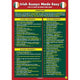 IRISH ESSAYS MADE EASY - GLANCE CARD