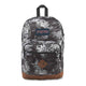 JanSport City View Backpack - Black Agave Zebra
