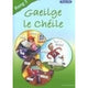 GAEILGE LE CHEILE RANG 5