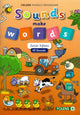 SOUNDS MAKE WORDS - JUNIOR INFANTS (42 SOUNDS)
