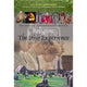 RELIGION - THE IRISH EXPERIENCE