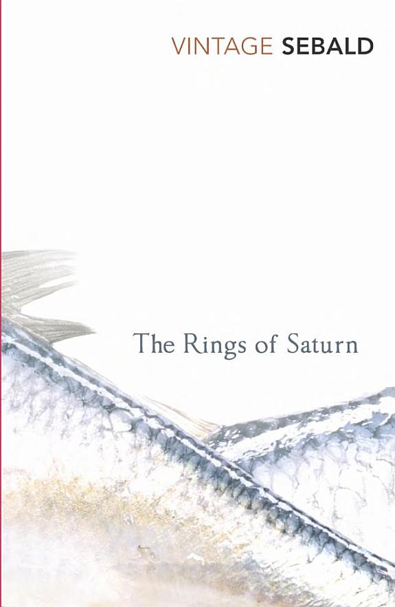 Rings of Saturn