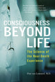 Consciousness Beyond Life