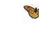 Science, Evolution, and Creationism