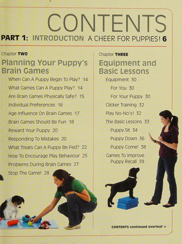 Brain Games for Puppies