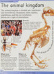 First Animal Encyclopedia