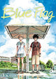 Blue Flag, Vol. 3: Volume 3