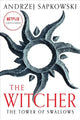 The Tower of the Swallow: Witcher 4 - Now a major Netflix show