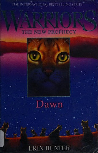 DAWN : Book 3