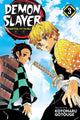Demon Slayer: Kimetsu no Yaiba, Vol. 3 :