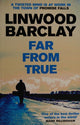 Far From True: (Promise Falls Trilogy Book 2)