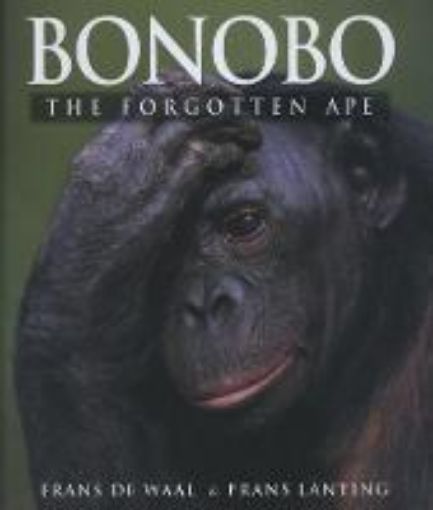 Picture of Bonobo