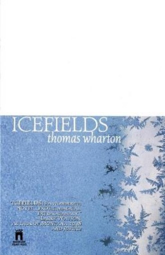 Picture of Icefields