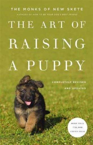 Picture of Art Of Raising A Puppy