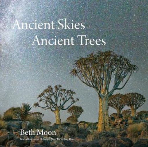 Picture of Ancient Skies, Ancient Trees