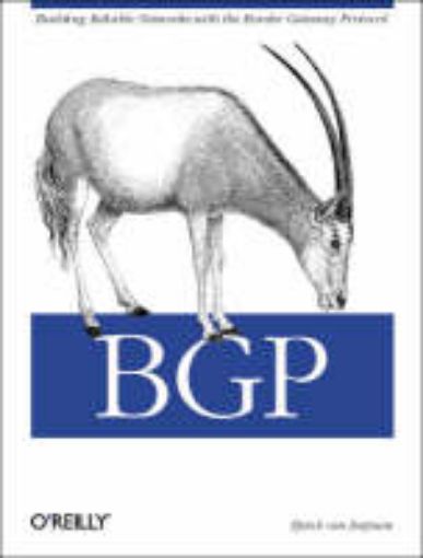 Picture of BGP
