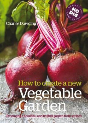 Picture of How to Create a New Vegetable Garden
