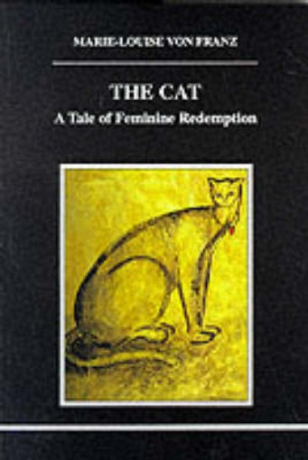 Picture of Cat