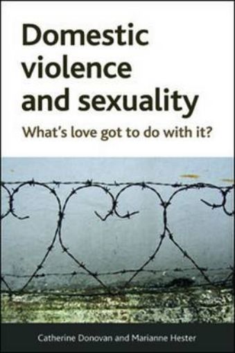 Picture of Domestic Violence and Sexuality