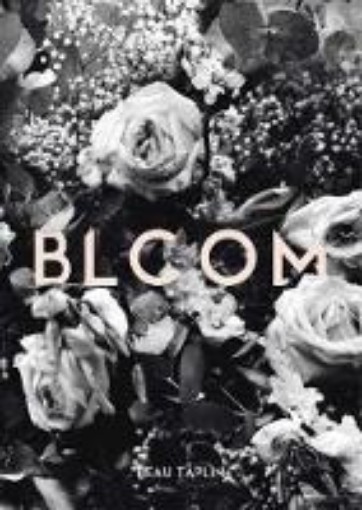 Picture of Bloom