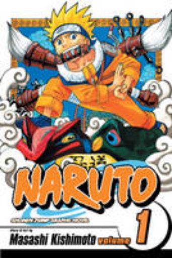Picture of Naruto, Vol. 1