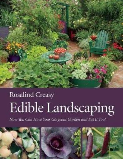 Picture of Edible Landscaping